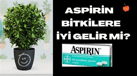Koruyucu aspirin yutmalı mıyız? | Osman MÜFTÜOĞLU | Köşe Yazıları